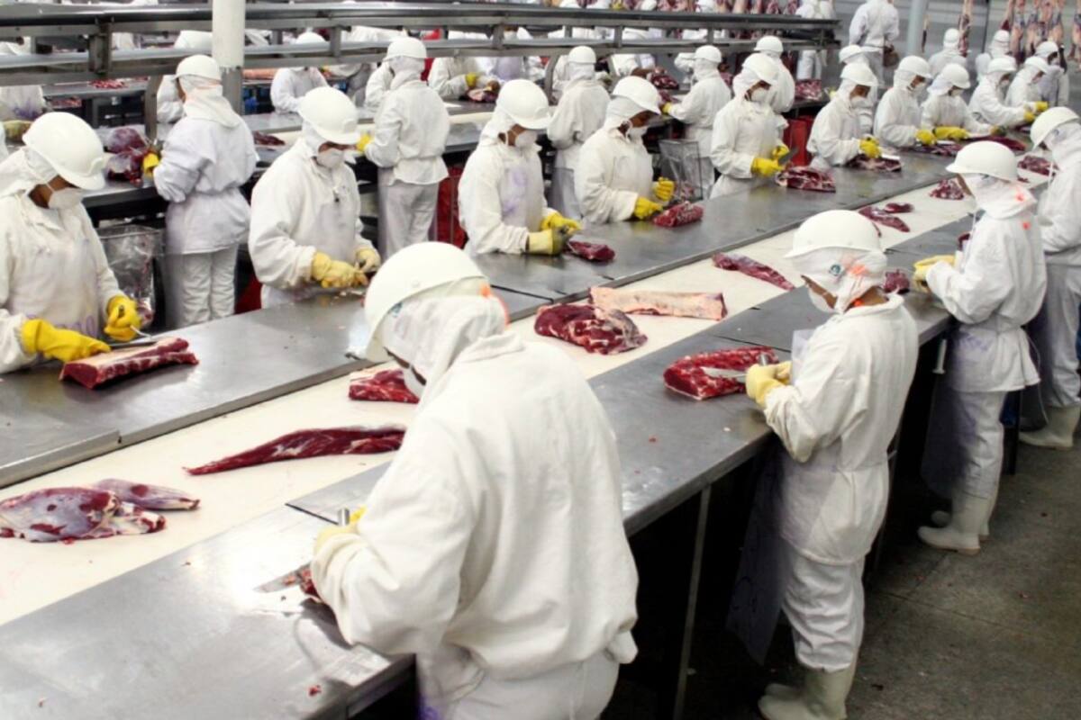 El gremio Fesitcara teme por los empleos en el sector tras el cepo para exportar