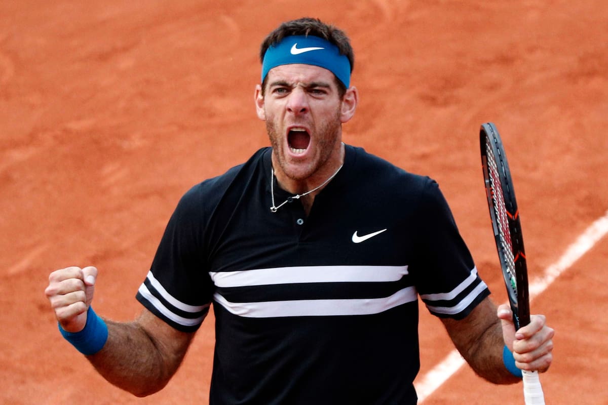 El grito de "lobo herido" de Del Potro, luego de su triunfo ante Isner