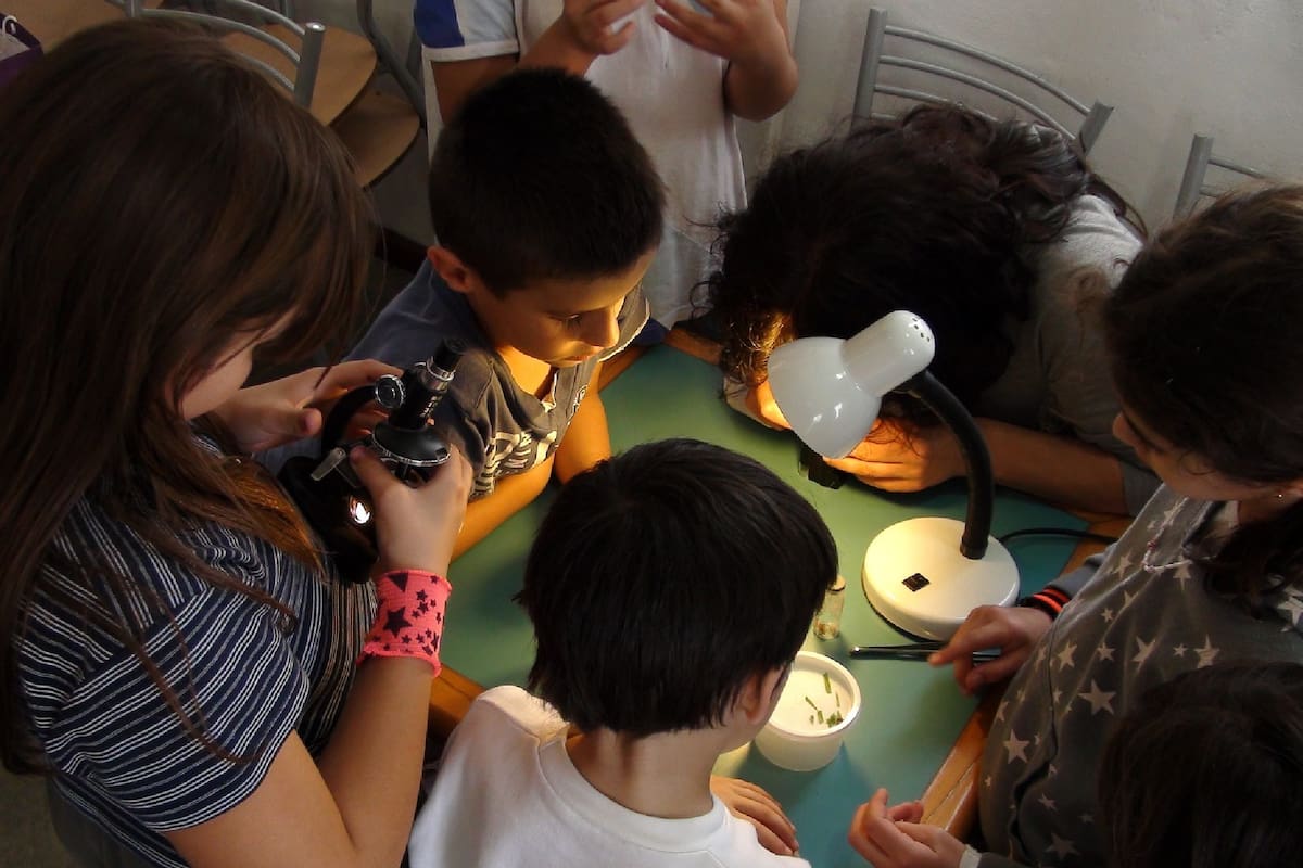 El grupo de alumnos de primaria realizó el hallazgo con ayuda de la NASA