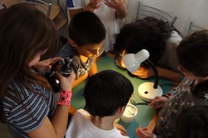 El grupo de alumnos de primaria realizó el hallazgo con ayuda de la NASA