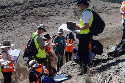 El grupo de investigación de Cecilia, en pleno terreno de trabajo. La joven argentina es geóloga y se especializa en petróleo. En la foto están en una escuela de campo de segundo año de geología en los Flinder Ranges, el lugar donde se encontraron los primeros rastros fósiles de vida.