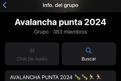 El grupo de WhatsApp llegó a alcanzar los casi 400 miembros