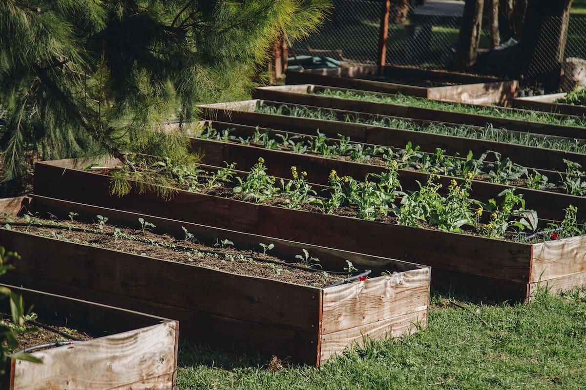 El grupo gastronómico Mezcla (al frente de Casa Cavia, Orno, Piso Tres, entre otros) posee la huerta de la cual se autoabastece