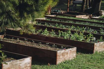 El grupo gastronómico Mezcla (al frente de Casa Cavia, Orno, Piso Tres, entre otros) posee la huerta de la cual se autoabastece