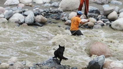 El grupo K9 de la Federación de Bomberos Voluntarios de Córdoba