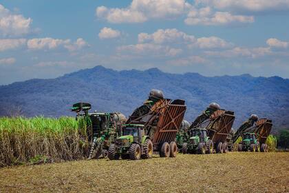 El Grupo Ledesma despidió a 165 trabajadores, menos del 3% de su plantilla total, entre cosecheros, operarios y personal de riego