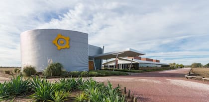 El grupo tiene siembras asociadas con productores y origina y comercializa granos e insumos