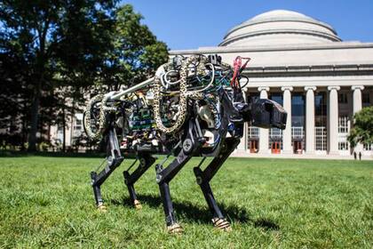El guepardo robot alcanzó los 16 kilómetros por hora de forma libre, sin cables y en un entorno abierto