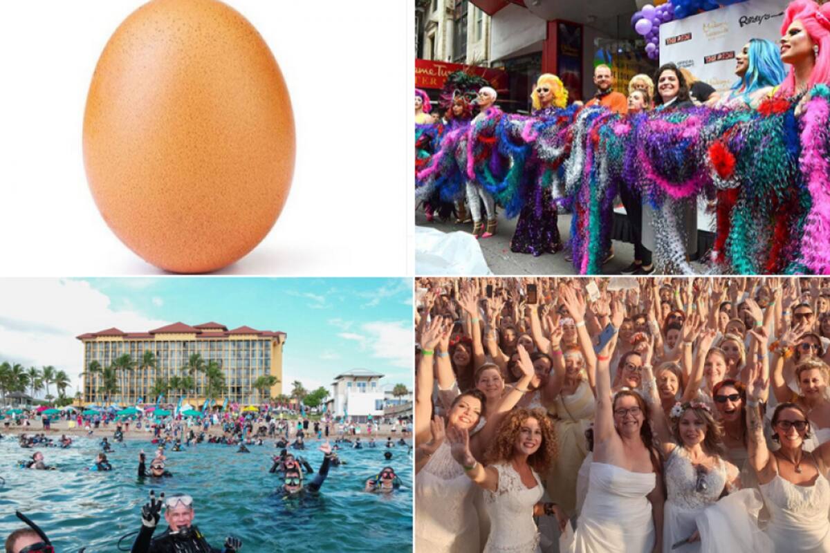 El Guinness World Records reconoce los logros más espectaculares, curiosos y sorprendentes no solo de las personas, sino también del mundo animal