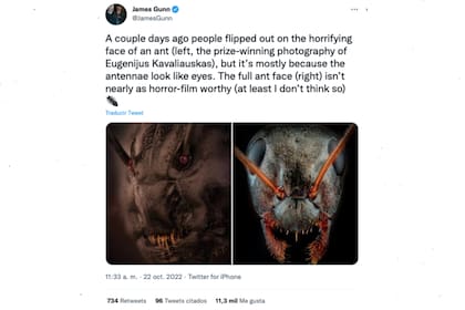 El guionista James Gunn considera que la imagen no es tan terrorífica como piensan los usuarios de Twitter