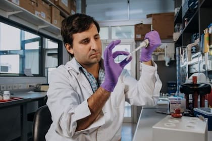 El hallazgo de Juan Pablo Tosar podría derivar en el futuro en aplicaciones prácticas para millones de personas, a través de diagnósticos más tempranos de enfermedades como el cáncer. Crédito: Sebastián Aguilar