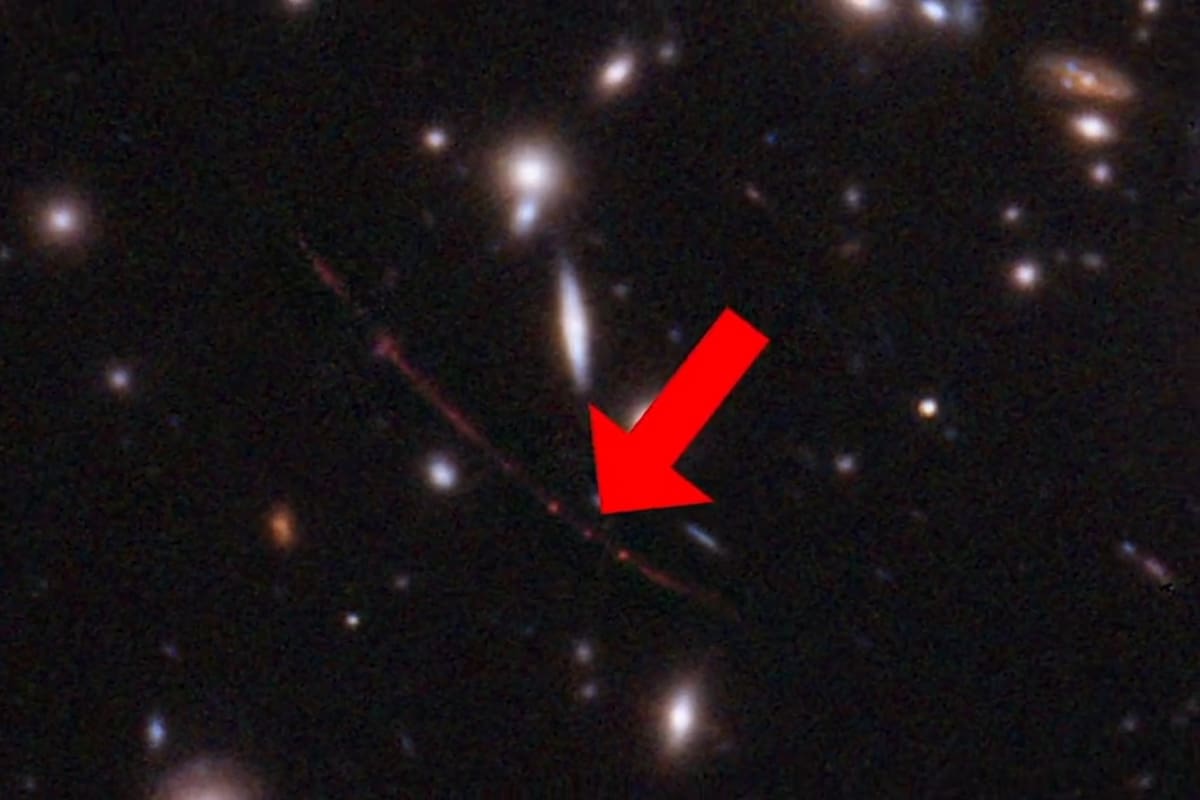 El hallazgo de la NASA supone un nuevo récord, según anunciaron