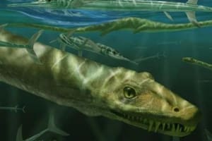 El hallazgo de un dragón de 240 millones de años desconcierta a los expertos. Ilustración de Marlene Donelly