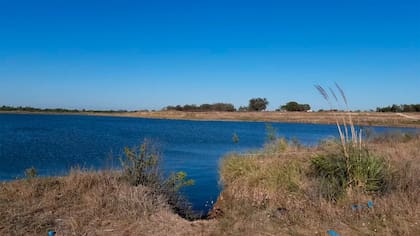 El hallazgo del cuerpo tuvo lugar a metros de una tosquera, en el límite de las localidades de Virrey del Pino y González Catán, en el partido bonaerense de La Matanza