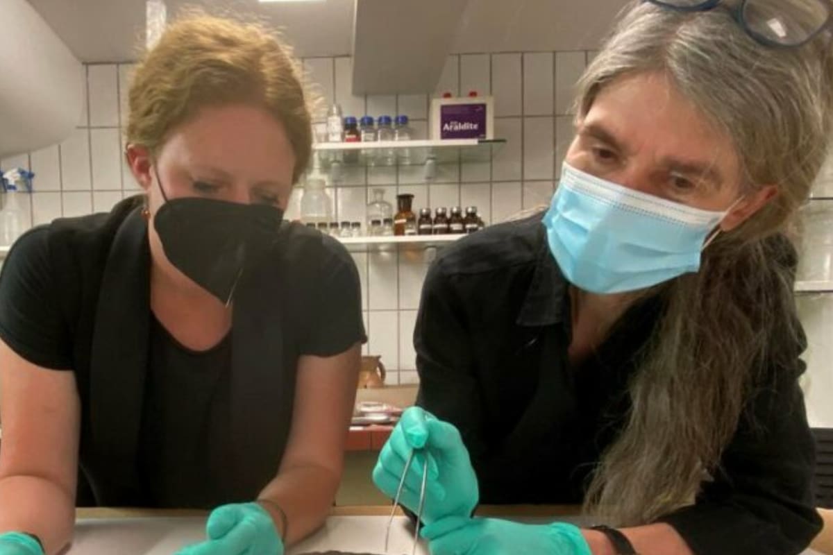 El hallazgo desconcertó a los expertos, que no habían trabajo con un objeto de estudio de este estilo