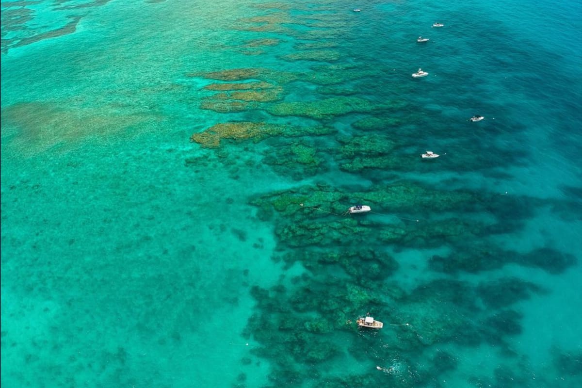 El hallazgo en los Cayos de Florida no es inusual