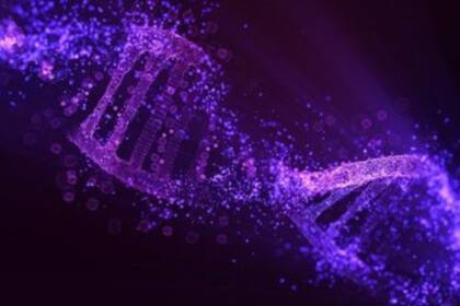 El hallazgo es el último de una serie de descubrimientos que apuntan a la posibilidad de que la mezcla del ADN y el ARN formaran las primeras formas de vida en la Tierra