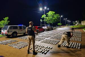 El hallazgo fue en Corrientes