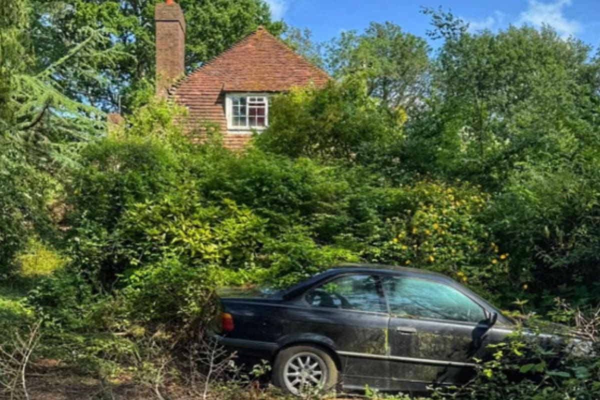El hallazgo fue publicado por la cuenta de TikTok y se volvió viral (Foto: @shell_exploresuk)