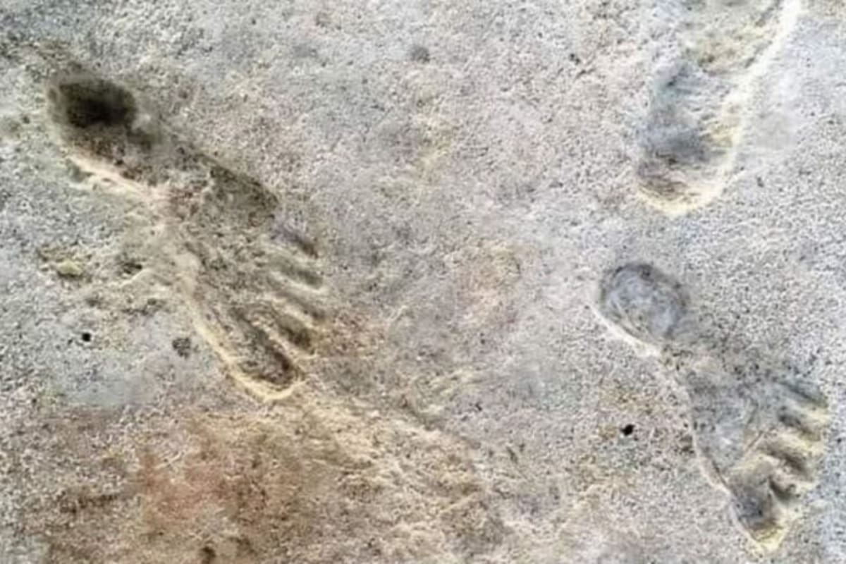 El hallazgo llama a reconsiderar parte de la historia primitiva en América (Foto: @Dr_TheHistories)