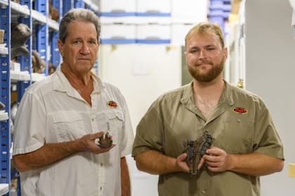 El hallazgo llena un vacío en el registro fósil del Irvingtoniano medio