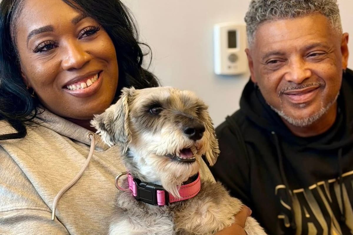 El hallazgo ocurrió en Clark, Nueva Jersey, después de que un vecino alertara sobre un can que deambulaba por la zona