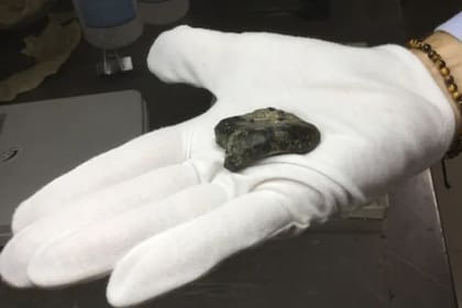 El hallazgo que cambiaria la manera de entender cómo se desarrolló el Homo erectus en Asia