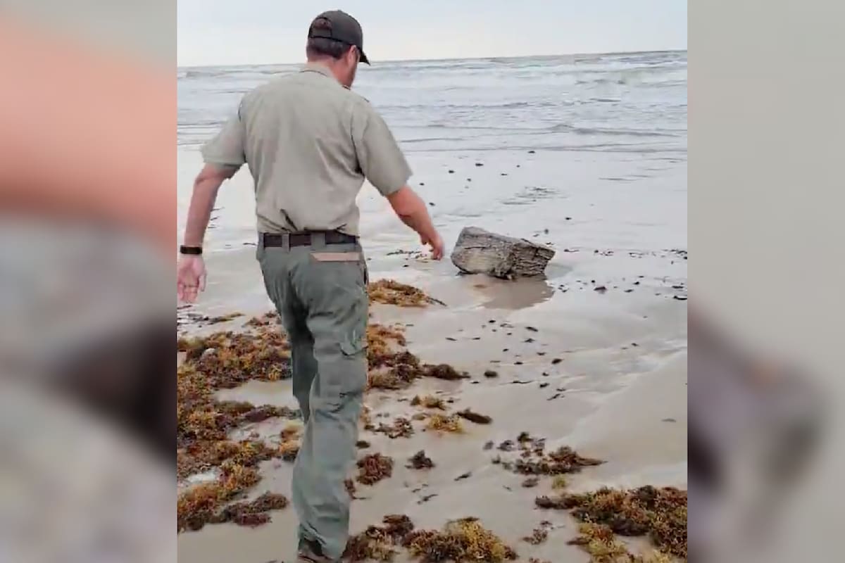 El hallazgo realizado en Mustang Island State Park, en Texas