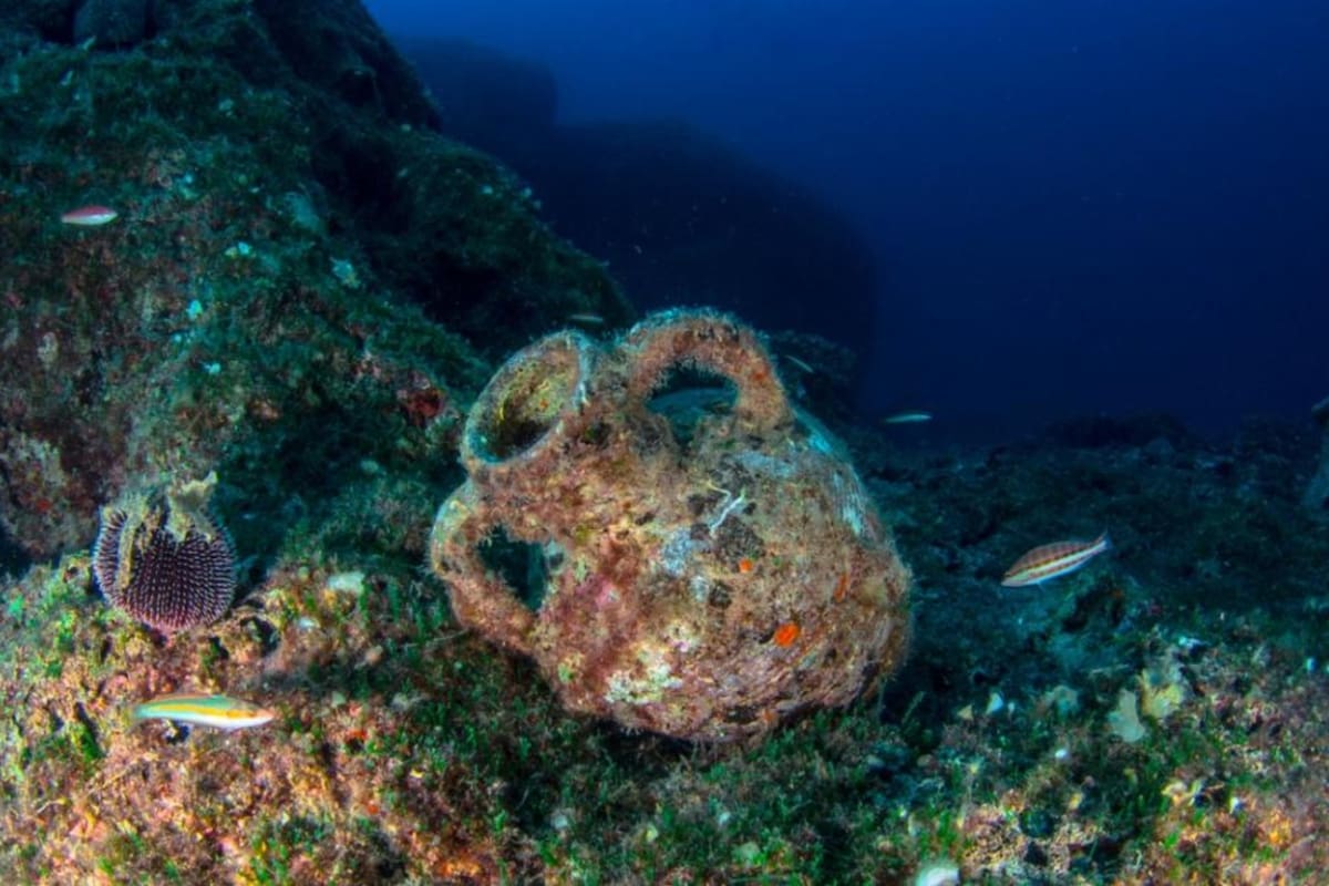 El hallazgo se dio en Egipto y descubrieron reliquias intactas