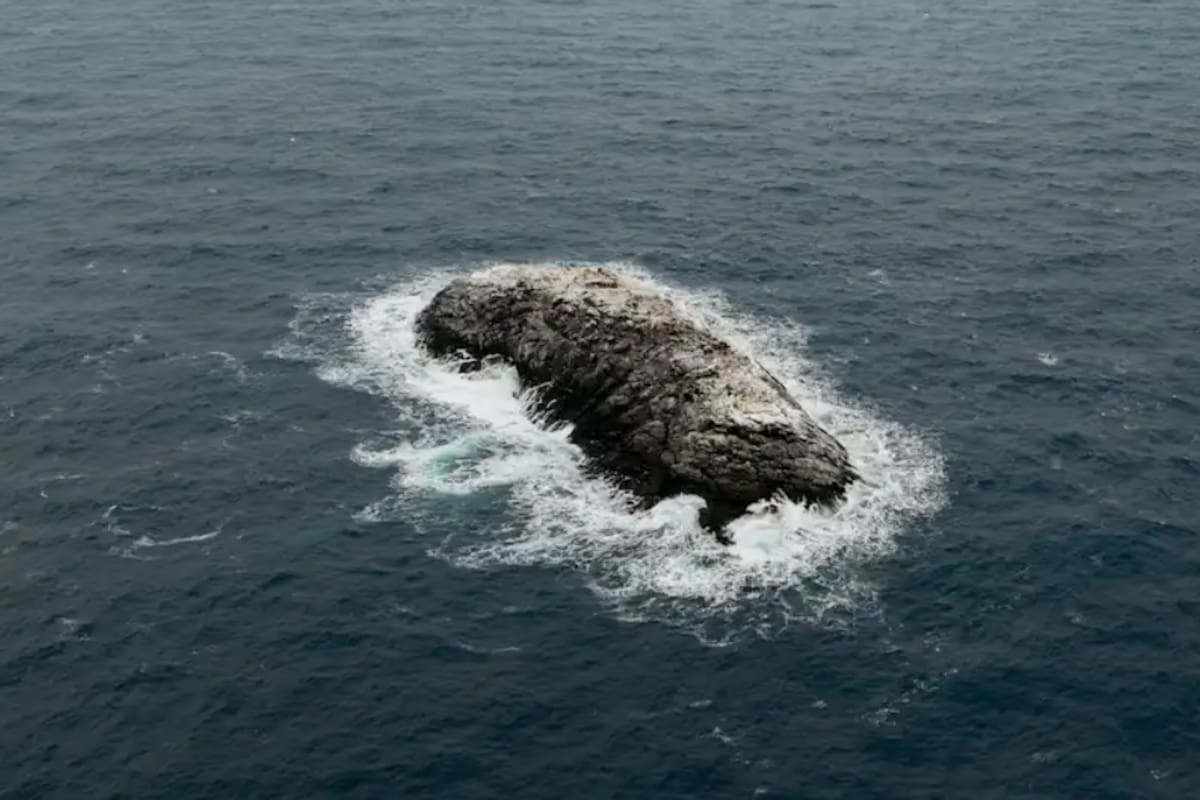 El hallazgo sorprendió a los exploradores (Foto: Instituto Alfred Wegener)