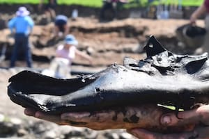 El hallazgo sorprendió a los investigadores (Foto: VindolandaTrust)