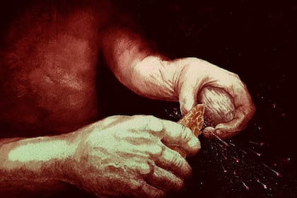 El hallazgo viene a traer nueva información a la ciencia (Foto: National History Museum)