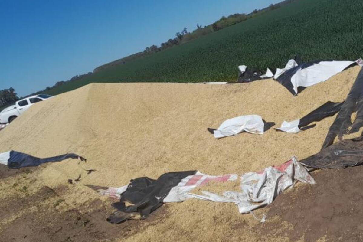 El hecho delictivo ocurrió el martes por la noche