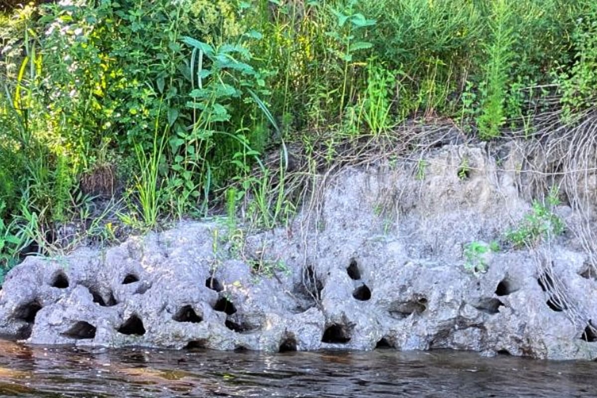 El hecho generó preocupación hasta que finalmente develaron de qué se trataba