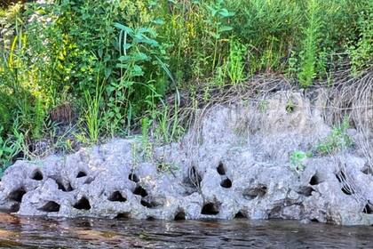 El hecho generó preocupación hasta que finalmente develaron de qué se trataba
