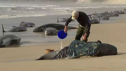El hecho impactó a la comunidad australiana y al mundo