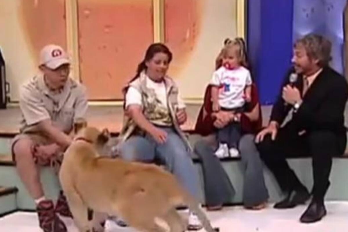 El hecho modificó las medidas de seguridad en los programas de televisión mexicanos