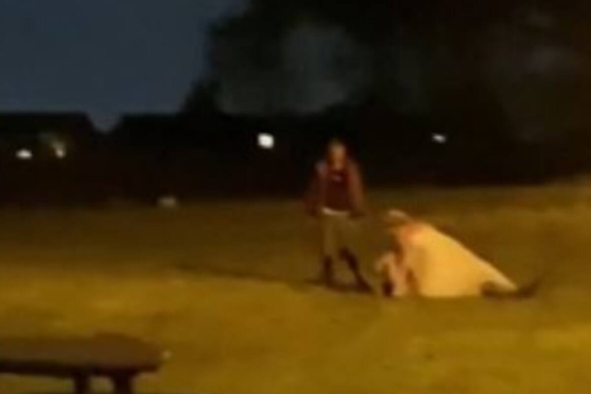 EL hecho ocurrió en el sur de Gales, donde la flamante esposa terminó la noche golpeando y sosteniendo a un invitado en el césped mientras otras personas yacían tendidas en el piso completamente inconscientes por el alcohol