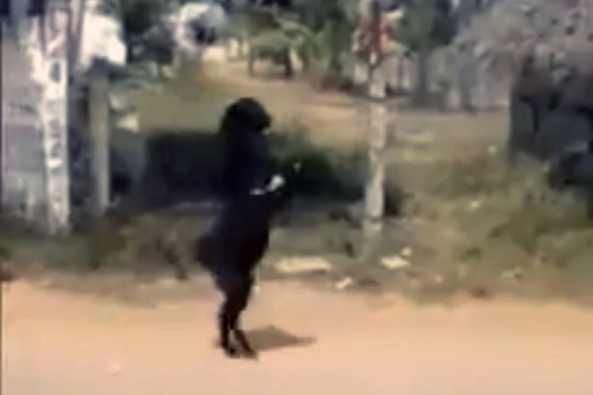 El hecho ocurrió en Telwara, en el estado indio de Bihar