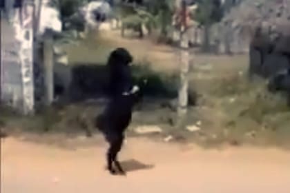 El hecho ocurrió en Telwara, en el estado indio de Bihar