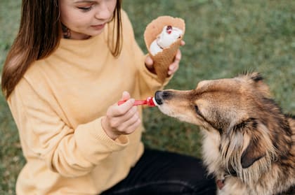 El helado y el chocolate son dos de los alimentos que las personas no deberían darles a sus mascotas