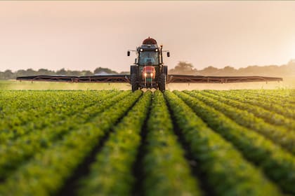 El herbicida debe emplearse dentro de un esquema que incluya las buenas prácticas agrícolas