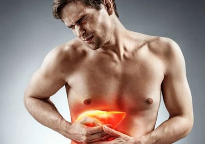 El hígado actúa como un filtro natural: ayuda a eliminar toxinas y sustancias perjudiciales de la sangre, contribuyendo así a la depuración del organismo