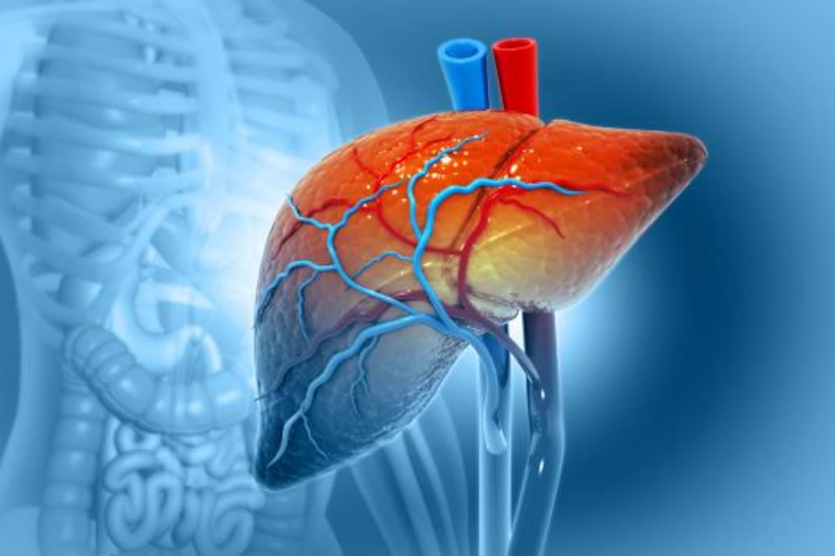 El hígado cumple varias funciones en el cuerpo humano, por lo que necesita un momento para eliminar todas aquellas toxinas que ha recibido durante el día