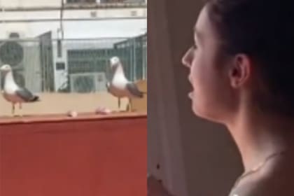 El hilarante hecho se volvió viral en TikTok