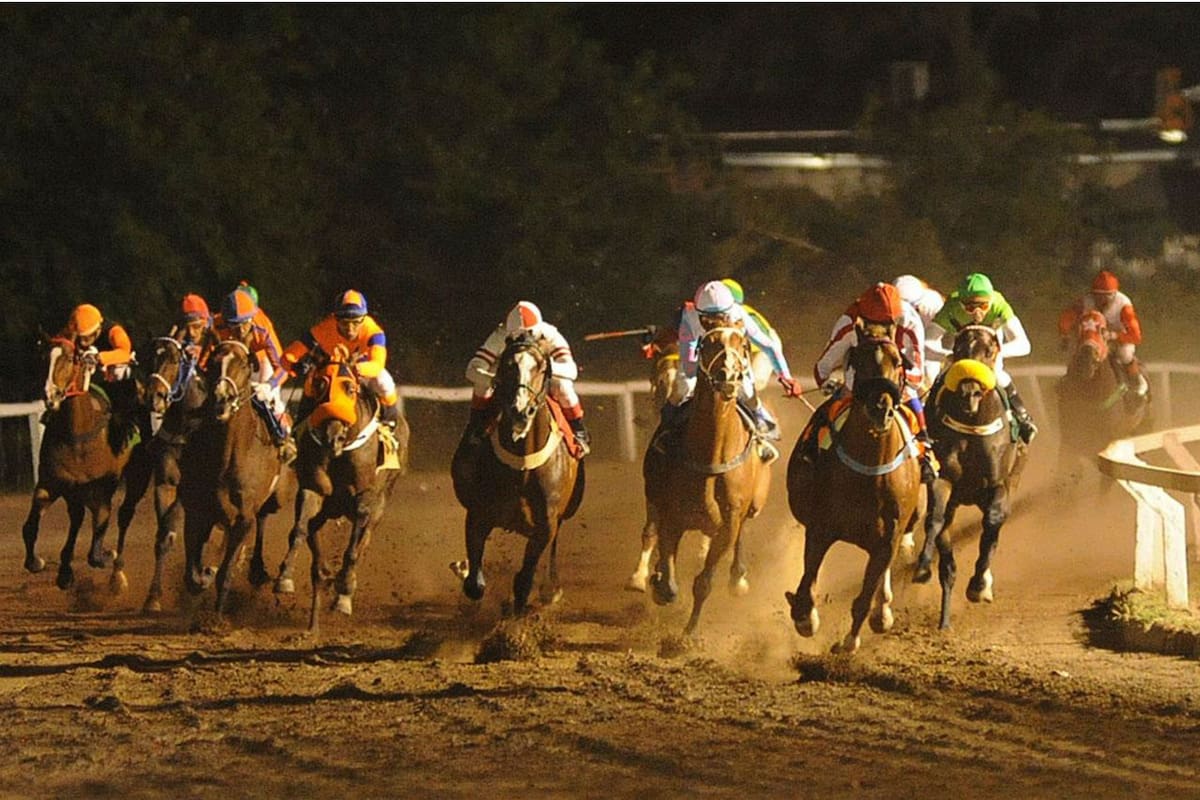 El hipódromo de Tucumán vuelve a abrir este jueves luego de cuatro meses y medio