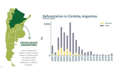 El histórico de la deforestación en Córdoba, una de las provincias donde se ha reflejado un cambio importante
