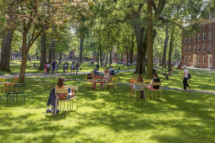 El histórico Harvard Yard es también un lugar de reunión para los alumnos