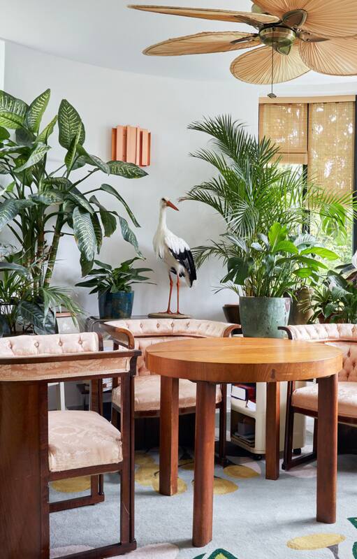 Ideas para ubicar plantas en todos los ambientes y sumarle vitalidad a tu entorno