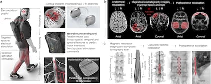 El holandés Gert-Jan, que sufrió hace 10 años una lesión medular a causa de un accidente, ha recuperado el control natural de sus piernas paralizadas con la ayuda de un ‘puente digital’. Este sistema restablece la comunicación entre el cerebro y la médula espinal y transforma el pensamiento en acción. La investigación la han liderado investigadores de Escuela Politécnica Federal de Lausana (Suiza)